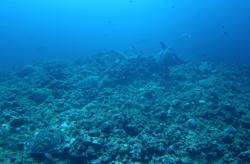a0122752_1515478.jpg