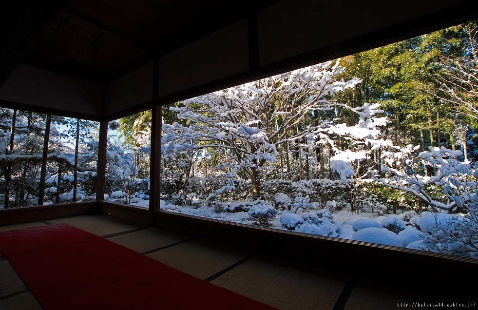 宝泉院の雪景色_f0102363_144235.jpg