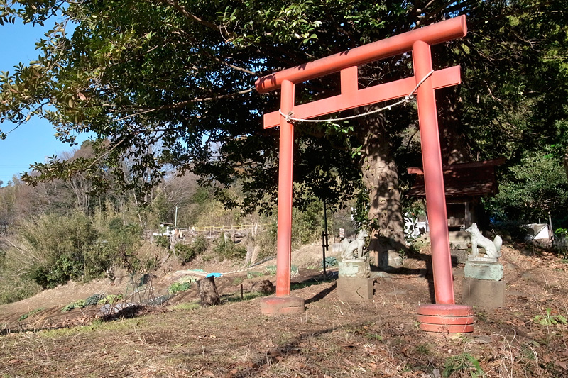 関屋の切り通しを行く 2014年1月11日_d0123571_21543694.jpg