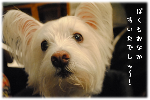 b0242873_01555326.png