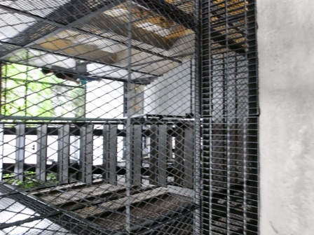 c0108673_204797.jpg