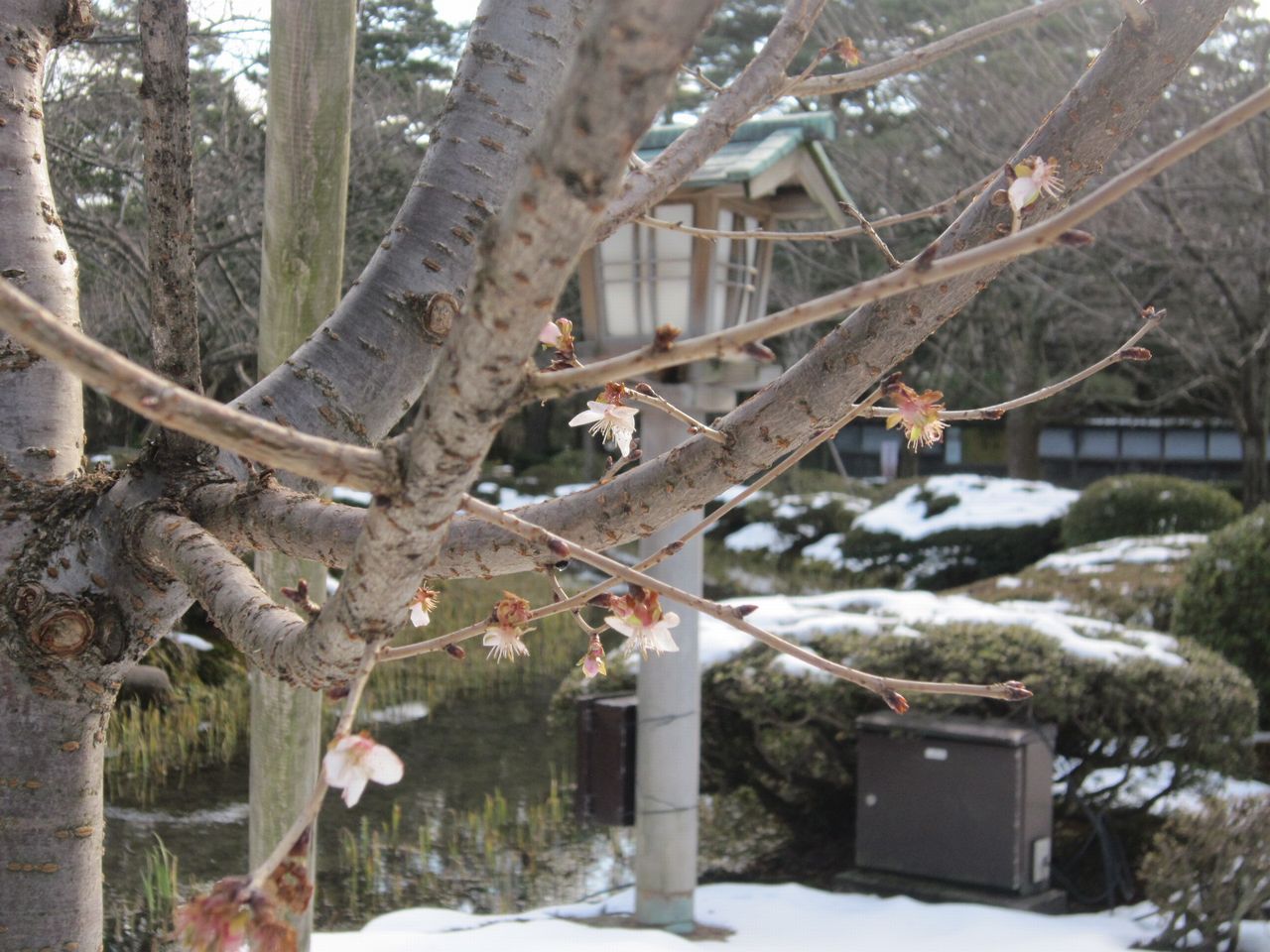 a0207574_201216.jpg