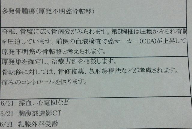 34　腫瘍マーカー値（CEA)、105ってΣ(￣□￣)！_c0311775_13554047.jpg