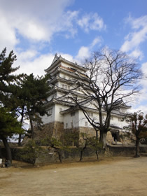 ねんきんQuiz-第278問_d0132289_0163789.jpg
