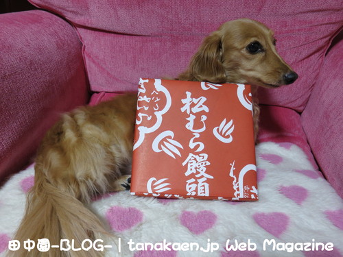 1月なのに毎日仕入れする！_b0200291_23112681.jpg
