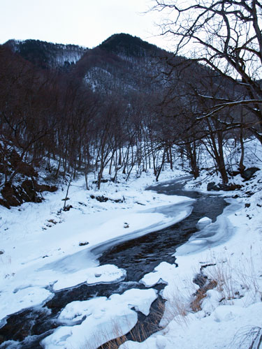 f0236291_11423521.jpg