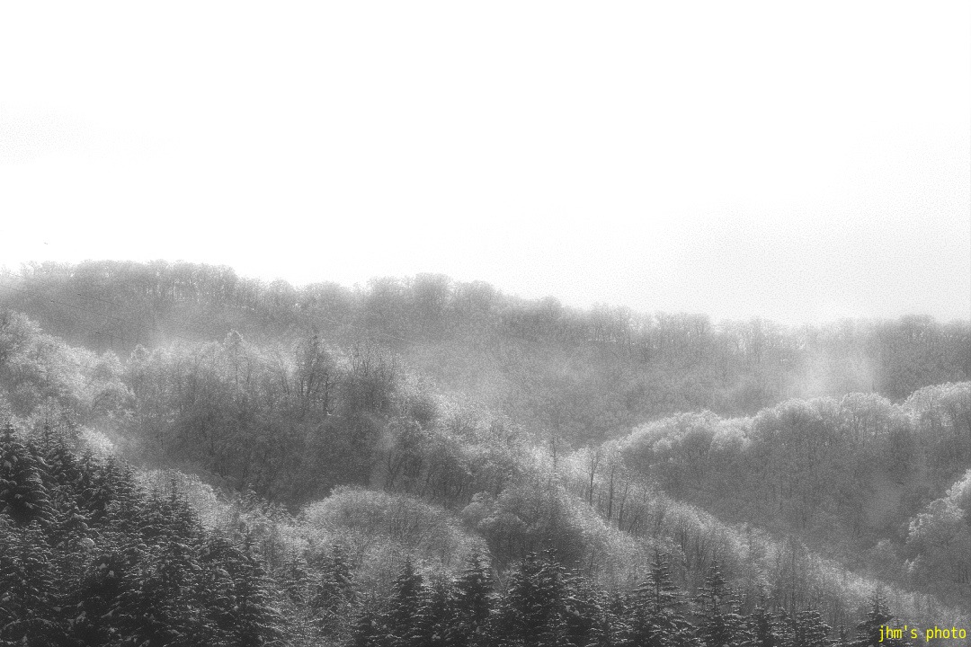 a0158797_0185127.jpg