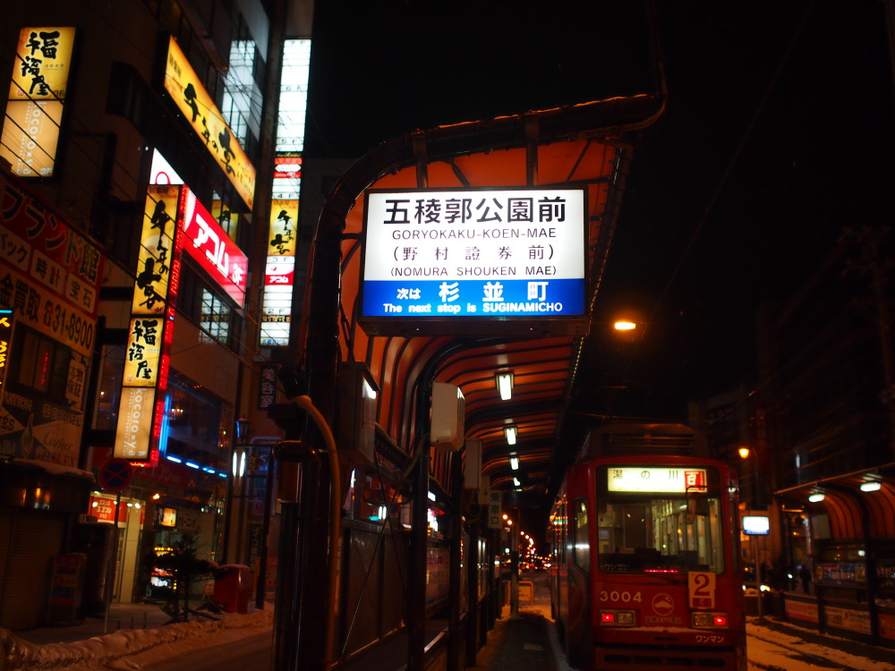2014新年の旅18「松前-江差-函館」その5~五稜郭公園前のち湯の川~_f0276498_1313371.jpg