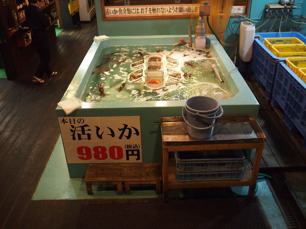 2014新年の旅18「松前-江差-函館」その5~五稜郭公園前のち湯の川~_f0276498_1343229.jpg
