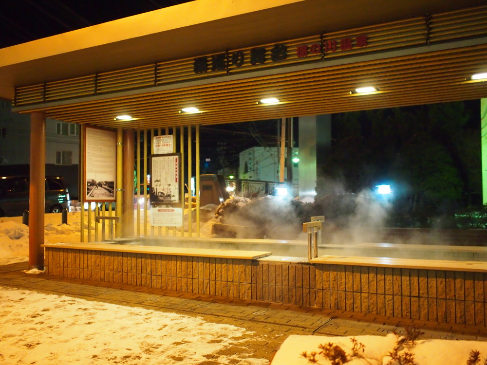 2014新年の旅18「松前-江差-函館」その5~五稜郭公園前のち湯の川~_f0276498_138060.jpg