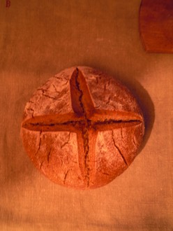 e0206902_76758.jpg