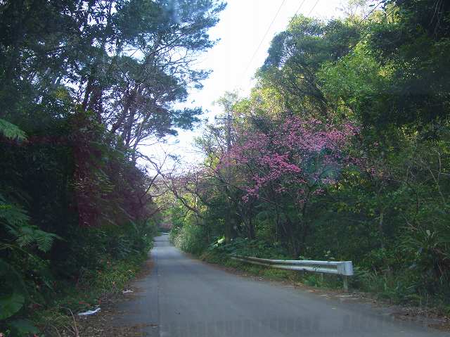 c0187403_1654085.jpg