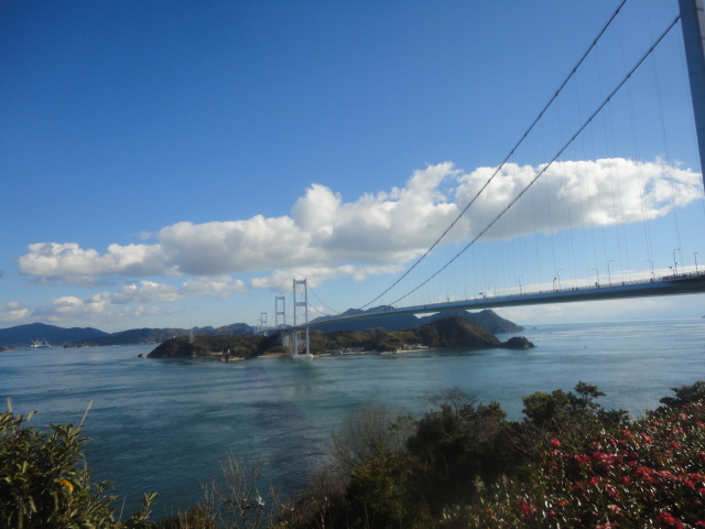 糸山公園展望台から見る来島海峡大橋と絶景…2014.1.16_f0231709_17133466.jpg