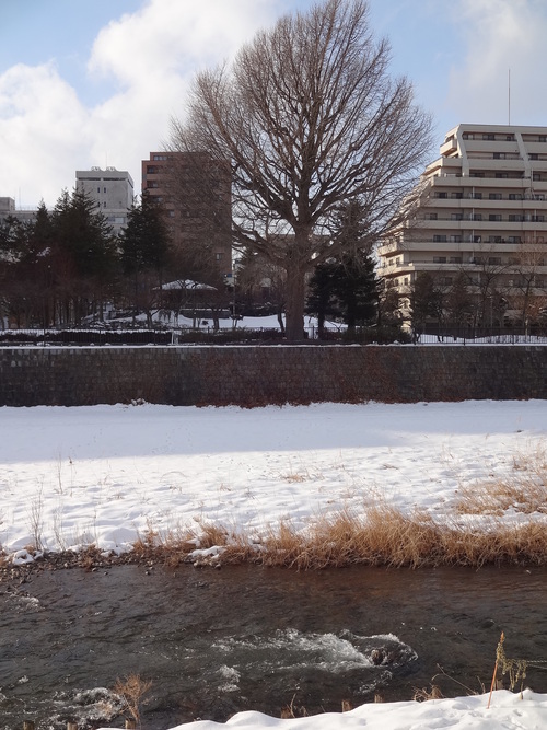 c0279611_13265983.jpg