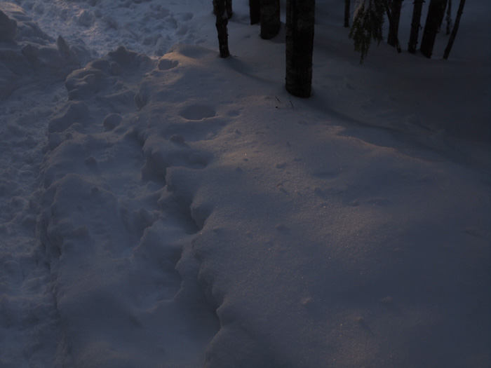 c0110112_0102560.jpg