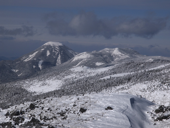 c0110112_064252.jpg