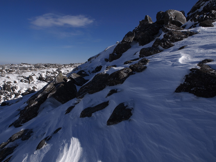 c0110112_074629.jpg