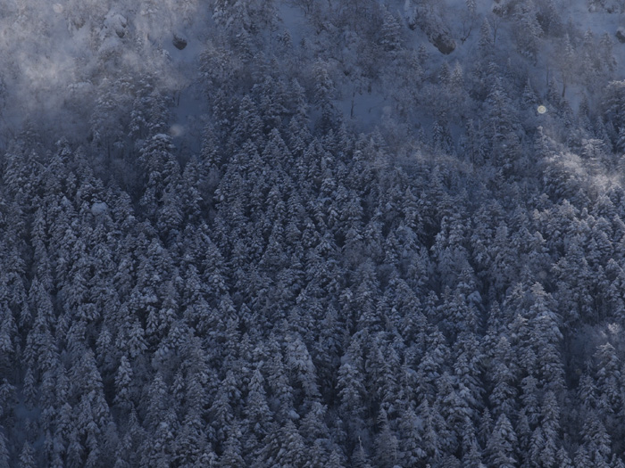 c0110112_084725.jpg