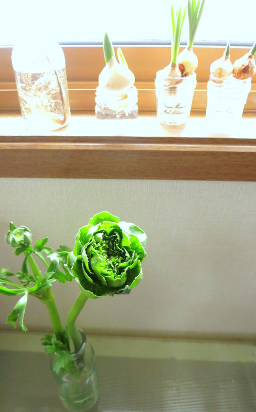 d0242112_8531466.jpg