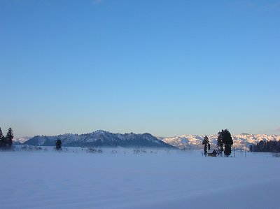 冷え込みがきびしい朝・・・空が澄んでいます_d0015124_1816696.jpg