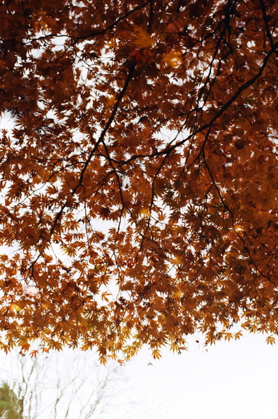 f0182924_20104734.jpg