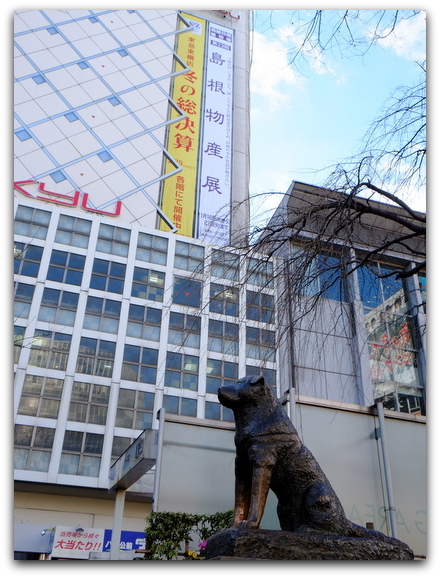 「渋谷 東急東横店 第23回島根物産展始まりました!」_a0000029_139070.jpg