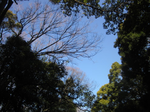 a0291132_14180624.jpg