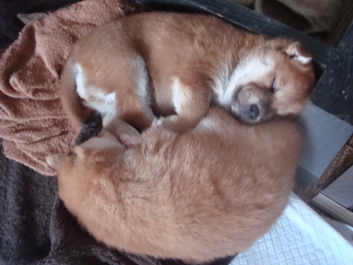b0207632_20112710.jpg
