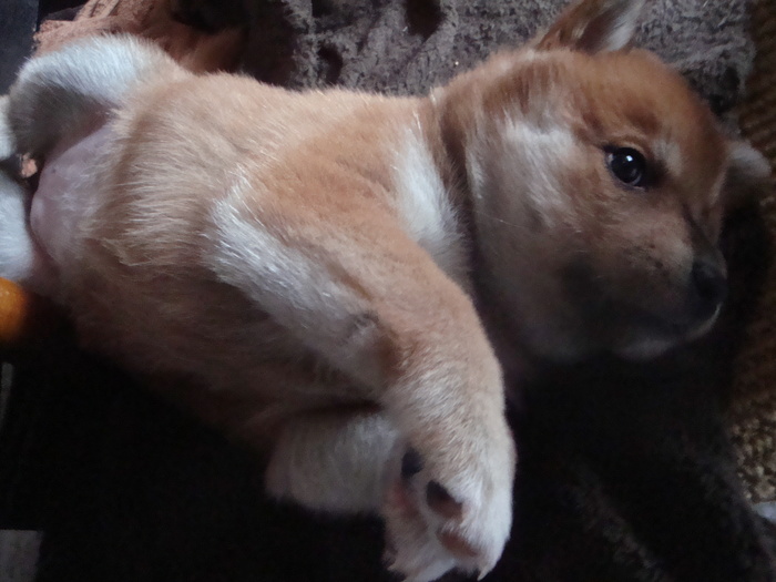 b0207632_20121624.jpg