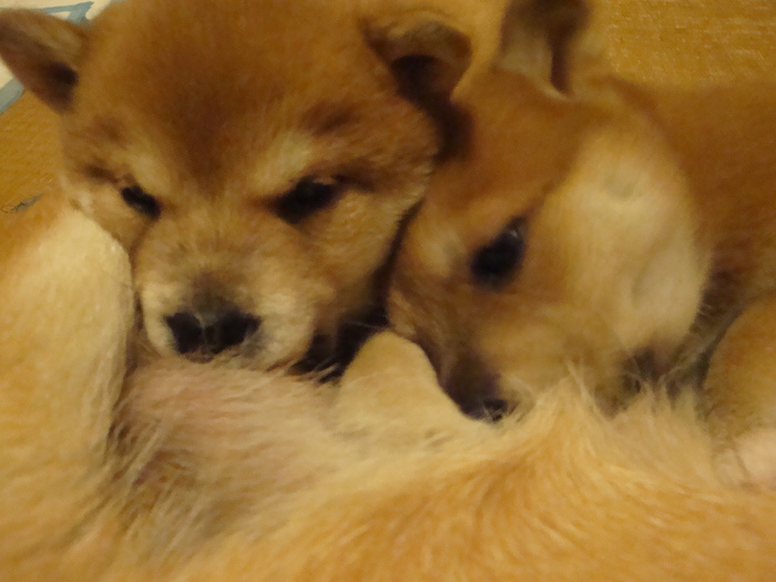 b0207632_20125240.jpg