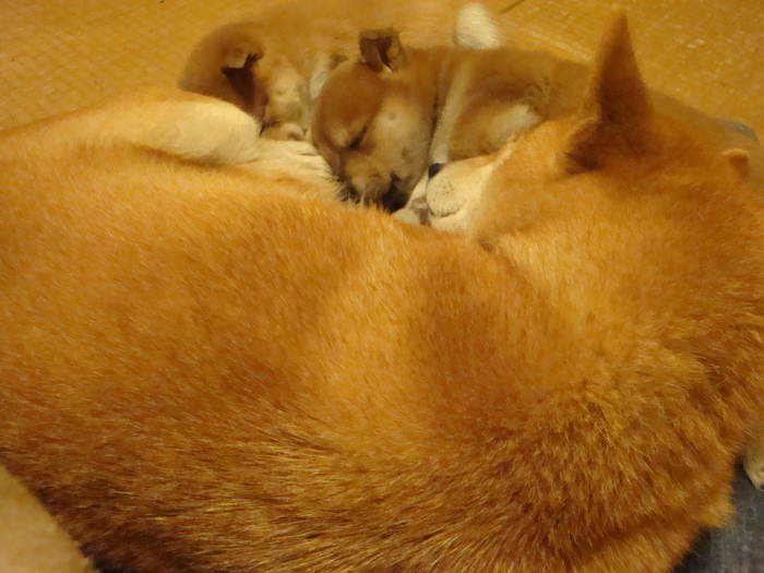 b0207632_2013446.jpg