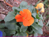 a0019747_2423963.gif