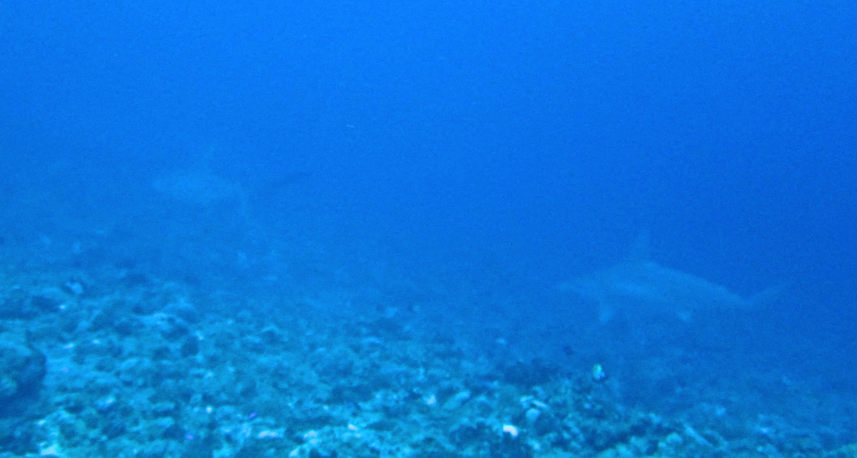 a0122752_13595263.jpg