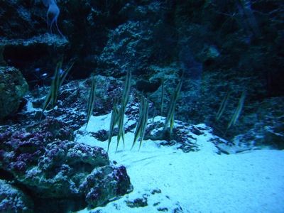 d0204154_1824951.jpg