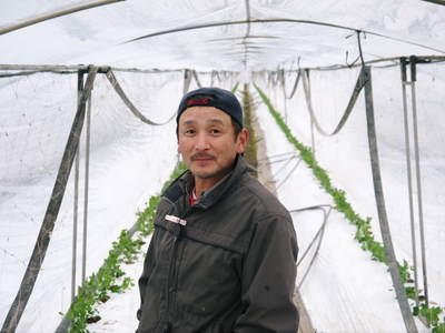 スナップエンドウ「シャキ甘“菊光”」 定植前後の様子_a0254656_18535786.jpg