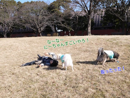 第7回わんにゃんクラブ 〜前編：公園でRUN？！_f0054859_1202918.jpg