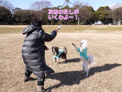 第7回わんにゃんクラブ 〜前編：公園でRUN？！_f0054859_1245016.jpg