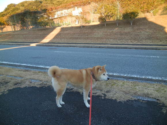 ’14,1,16(木)もう雪は消えたよ~!_f0060461_1025318.jpg