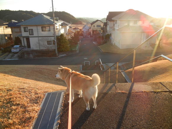 ’14,1,16(木)もう雪は消えたよ~!_f0060461_10265182.jpg