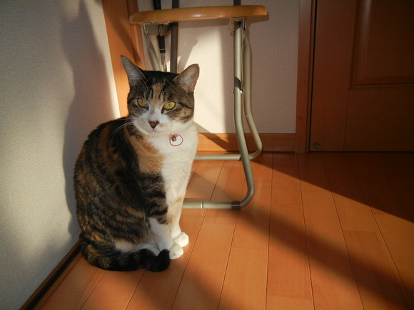 ’14,1,16(木)もう雪は消えたよ~!_f0060461_10285968.jpg