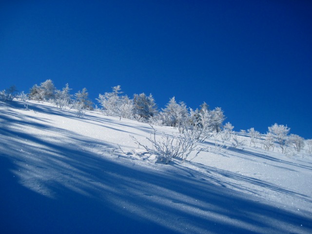 2014.1.16　山スキー 塔ノ丸_c0219866_18283122.jpg