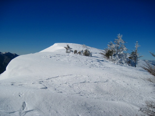 2014.1.16　山スキー 塔ノ丸_c0219866_18293118.jpg