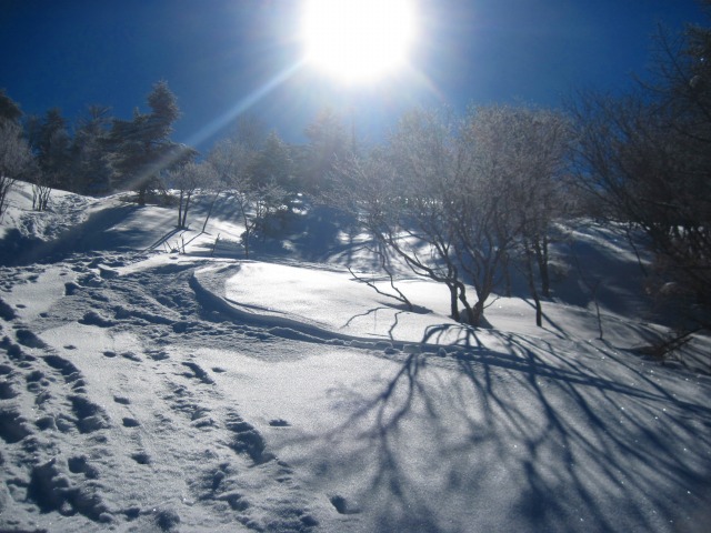 2014.1.16　山スキー 塔ノ丸_c0219866_1839480.jpg