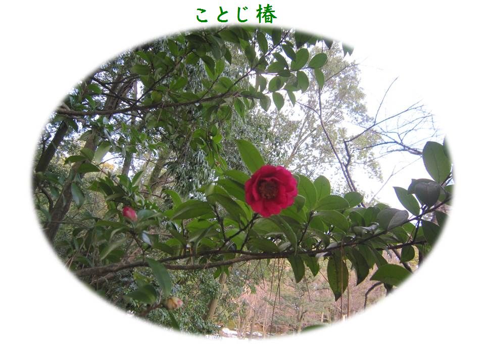 a0207574_10205358.jpg