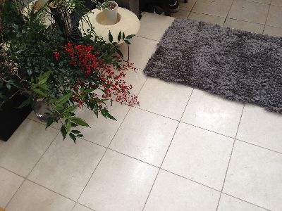 コストコの玄関マットとスタンレー ケセラセラ 家とgreen