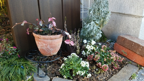 c0064678_11314176.jpg