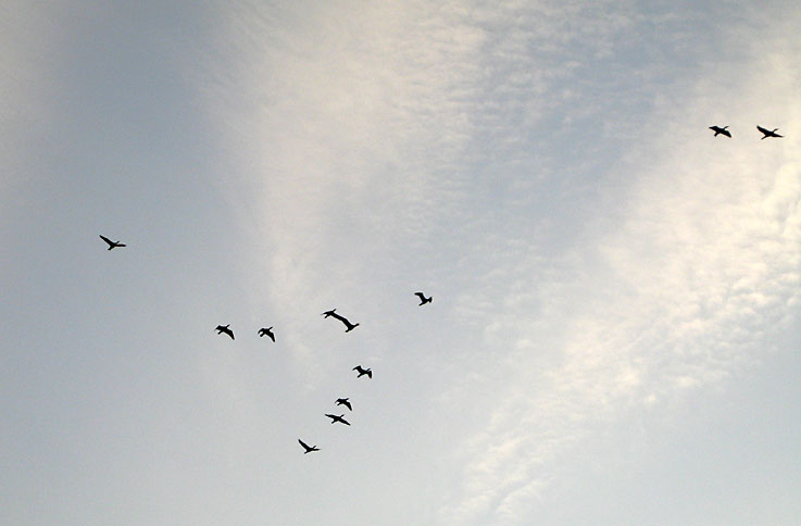 b0057679_912457.jpg