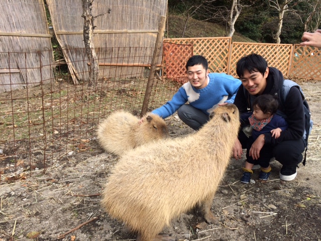 恋のカピバラ大作戦_f0170995_17242437.jpg