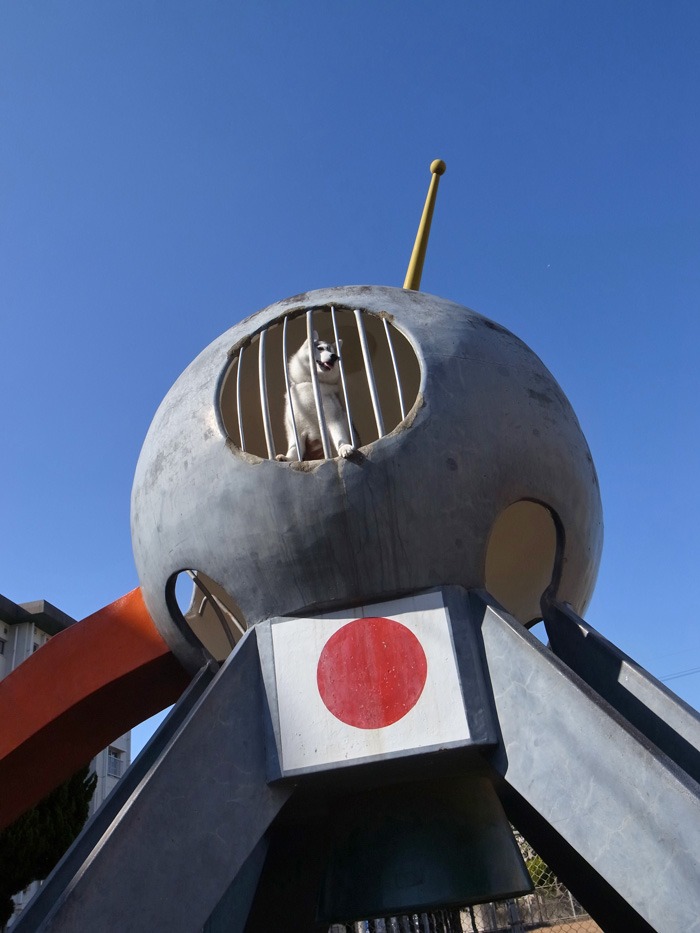 我が家の祝日_c0049299_202167.jpg