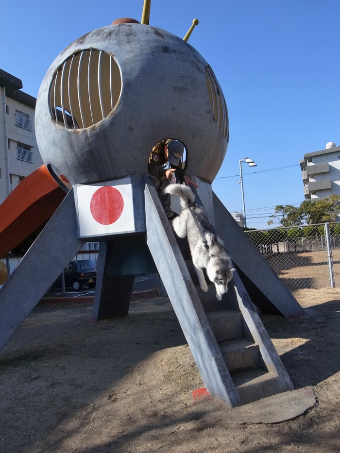 我が家の祝日_c0049299_2042722.jpg